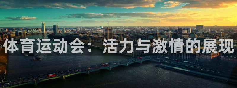 尊龙官网下载招商电话号码:体育运动会:活力与激情的展现