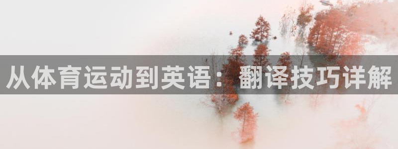 尊龙官方平台体育:从体育运动到英语:翻译技巧详解