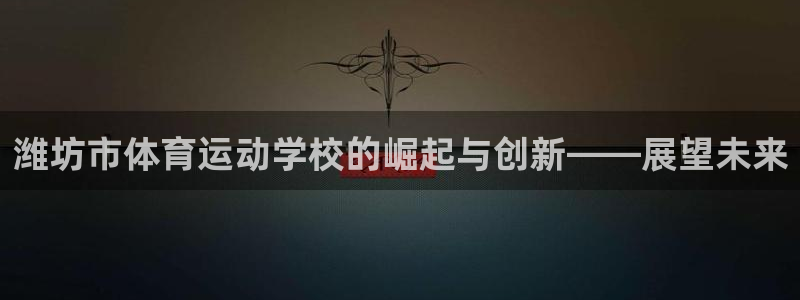 尊龙官方正版app官方:潍坊市体育运动学校的崛起与创新——展